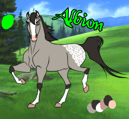 Detail Albion 