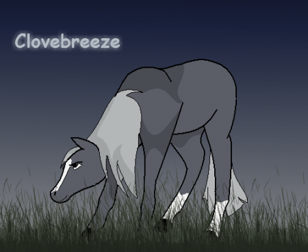 Detail Clovebreeze