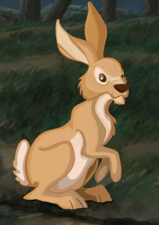 Detail Rabbit