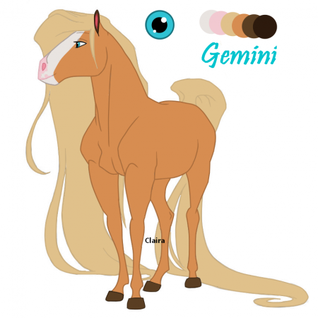 Detail GEMINI{claira}