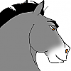 Grey eagle