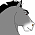 Grey eagle