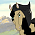 Aroona