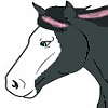 Pink Licorice