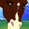 Sheila 