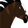 Racing Stripes