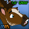Lil' Snow