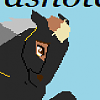 Nashota