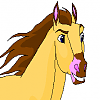 Steven (indi12)