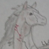 Randolf(LLG)