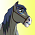 Cheval Indien