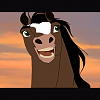 Bronc