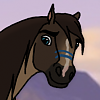 Comanche.