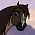 Comanche.