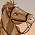 Brumby Girl