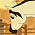 Bandit (ID)