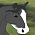 Banjo (ID)