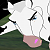lightning (white stallion)