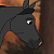 Cobalt (ID)