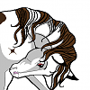 Sage (white stallion)