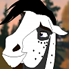 Jashper (SD)