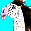 Sasha La Flurr (swag)