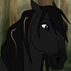Starla (LF)