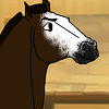 Comet (Bay)
