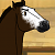 Comet (Bay)