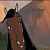 Diomedes (RS)