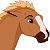 Jet Fighter
