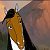 Saddle (RS)