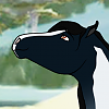 Witchtucka