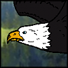 Shining Feathers