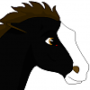 Black Irish (WS)
