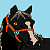 Morgan (AHG and BS)