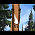 .:Courette:.