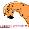 shining shadow