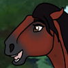 Sara(SA)