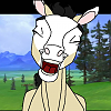 Cisco (horses)