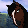 Filly