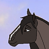 Calypso (WS)