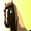 DreamWeaver