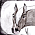 Blade (R13) 