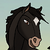 Anise