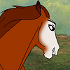 Bella Conada