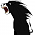 jackson (CNH)