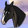 Amaya(SF)