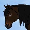 Kaya