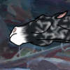 Runningwind